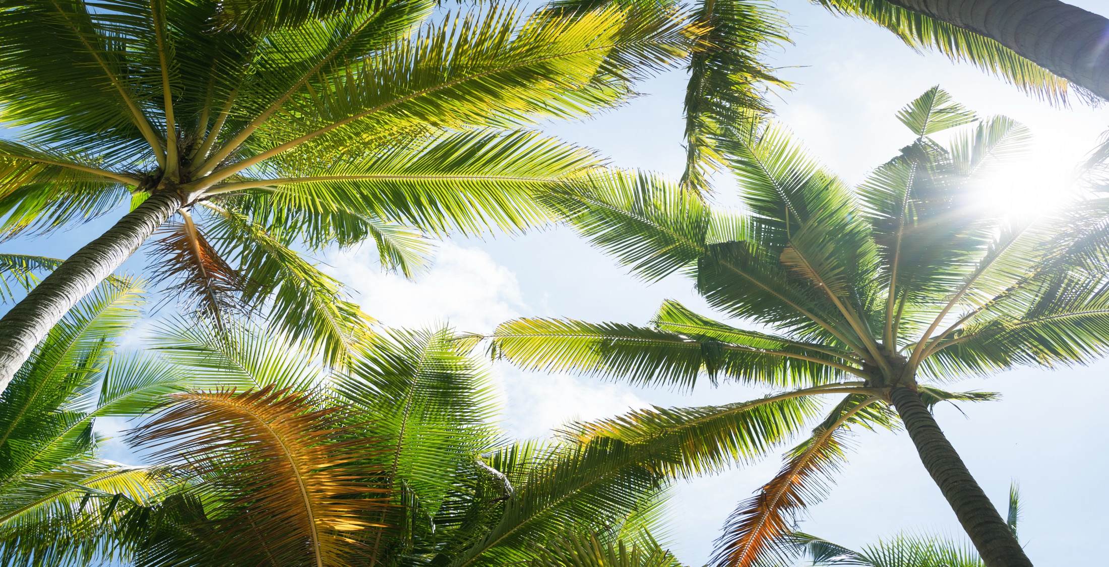 Luxury Palm Beach waterfront estate